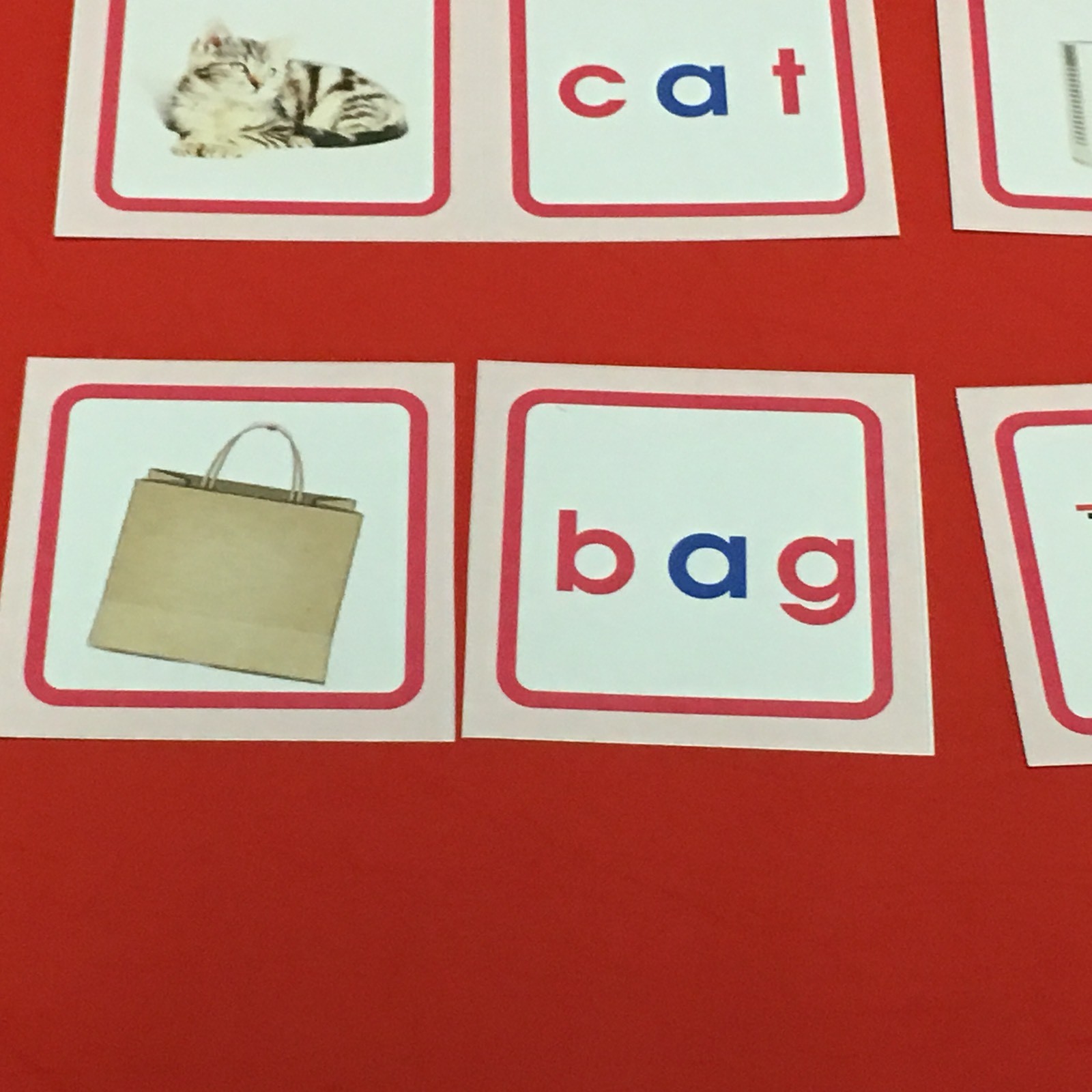 Pink Series Montessori – CVC PICTURE & WORD MATCH CARDS – 120 Laminated Cards