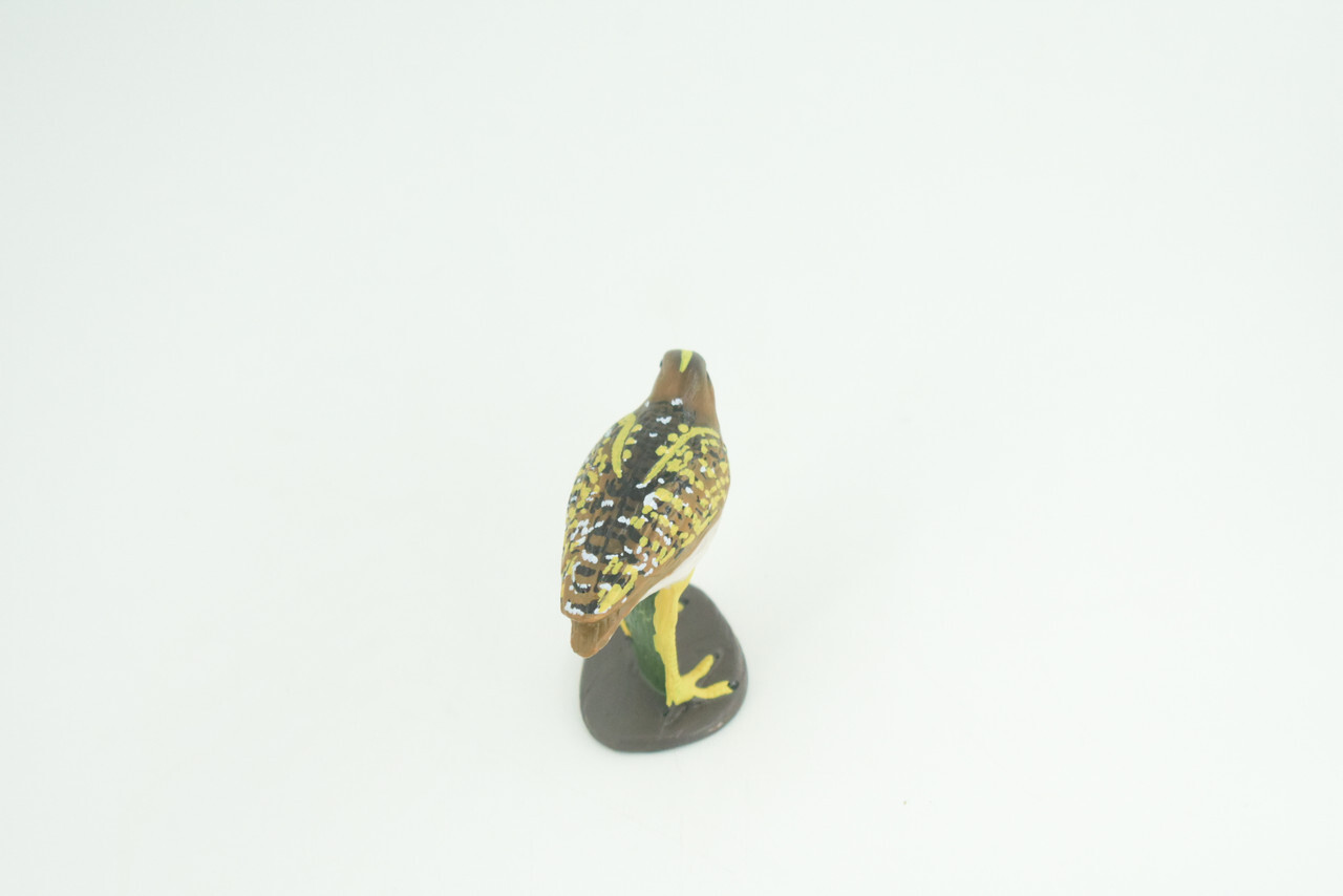Greater Painted Snipe Toy, Hand Painted Realistic Bird, 2 3/4 Inches CH870 BB199