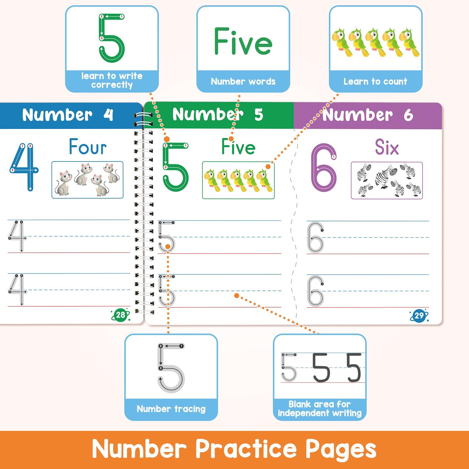 Preschool 8 inches x 12 x 0.5 inches, White, Blue, Green, Yellow, Red