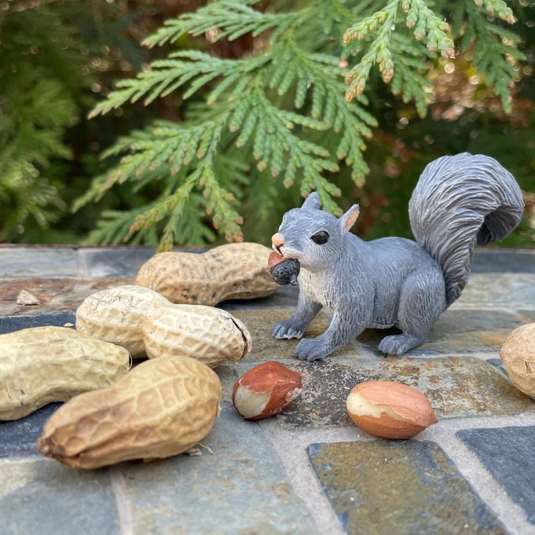Gray Squirrel Figurine – Woodland Wild Animal Toy Figure – NEW Safari Ltd 296129