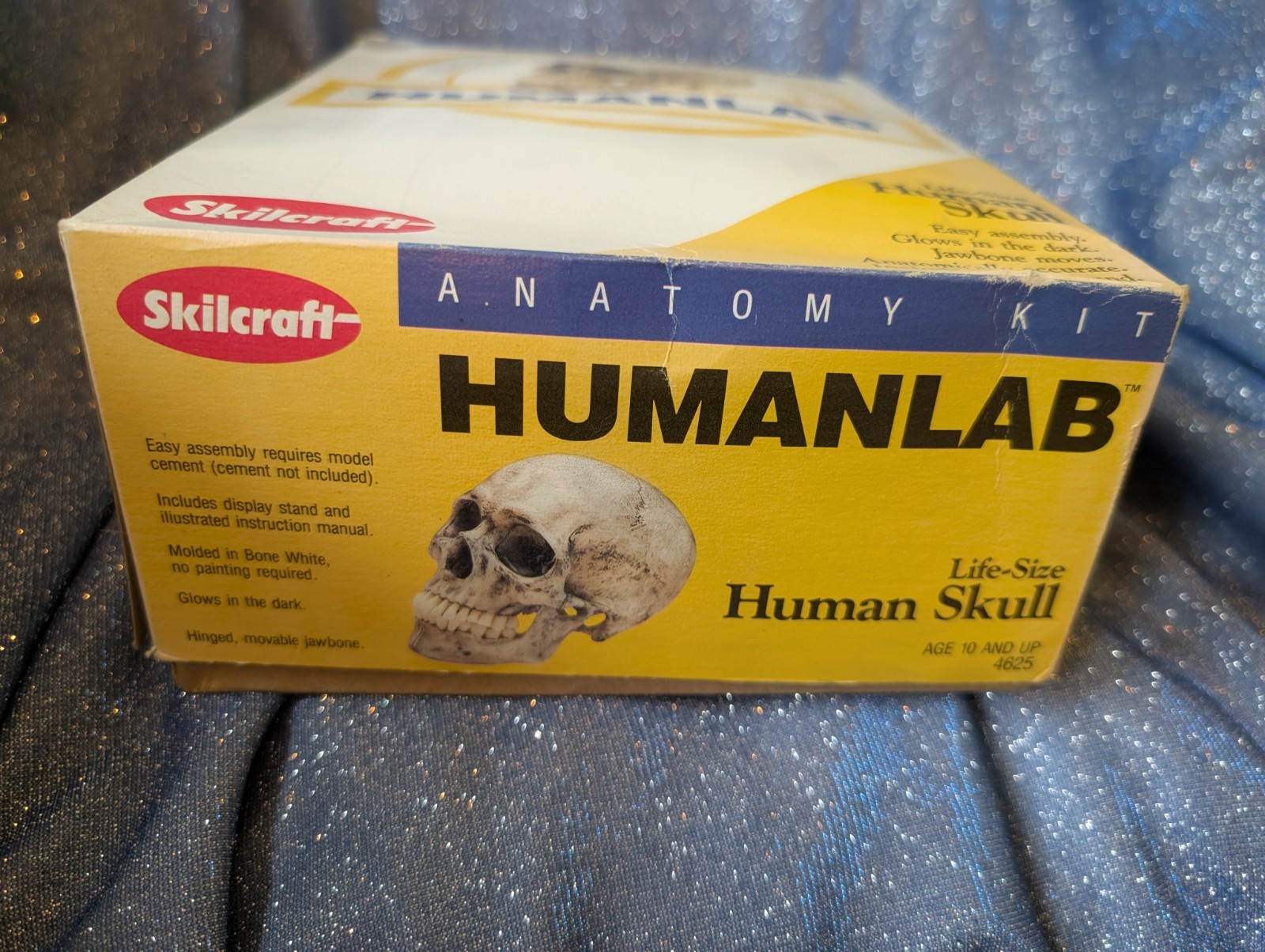 1993 Vintage Skilcraft Life-Size Human Skull Anatomy Kit