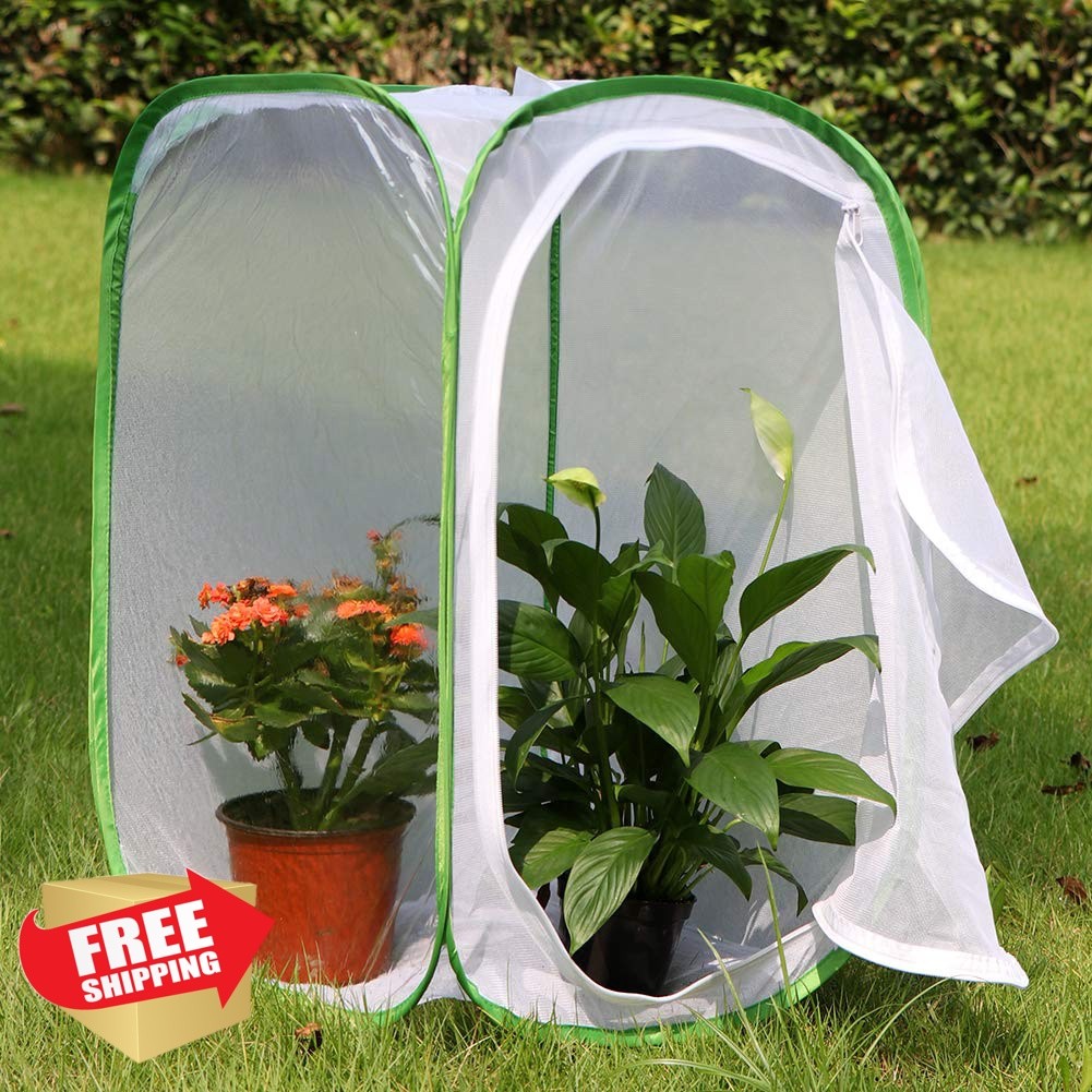 RESTCLOUD Green Butterfly Insect Habitat Cage 15.7×23.6″