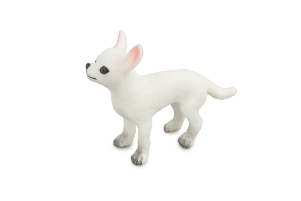 White Chihuahua, Toy Dog, Realistic Hand Painted Rubber Model 1.75″ CH823 BB194