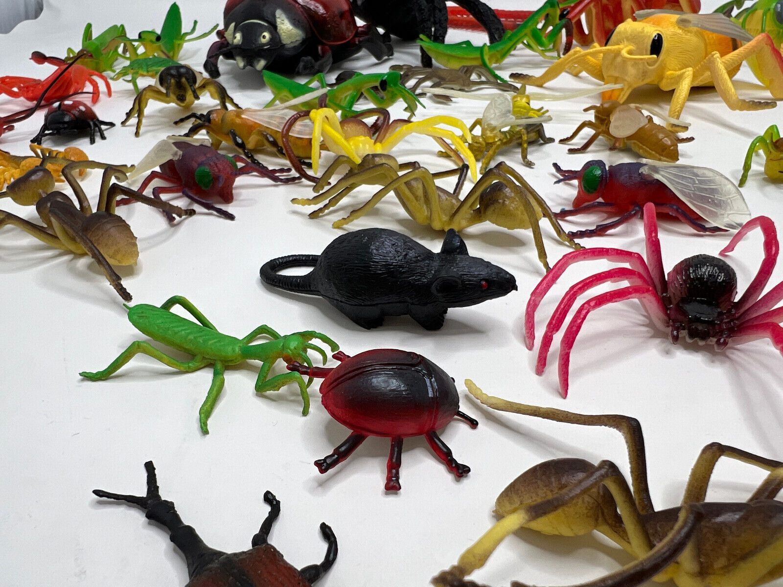 Large Lot of Creepy plastic bugs toy relistic figures