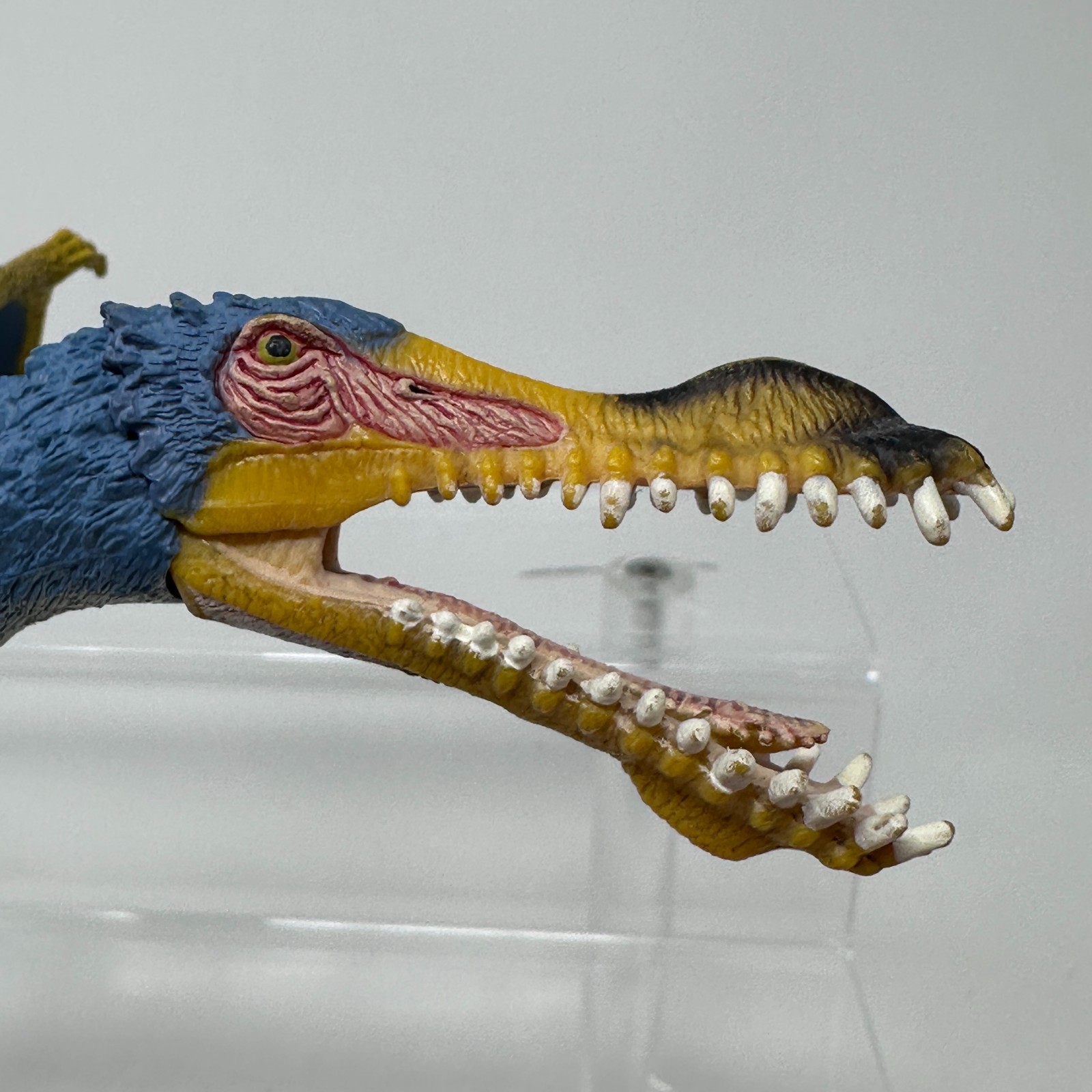 Schleich Anhanguera Figure Blue Prehistoric Dinosaur Animal Figurine 5.5″ 2014