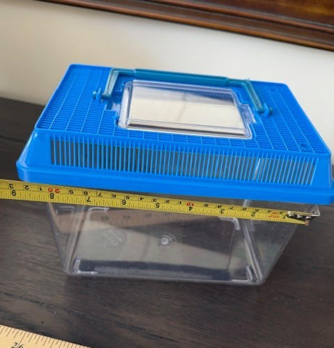 Kids Outdoor Bug Catcher Large Container Insect Specimen Acrylic (GR206)