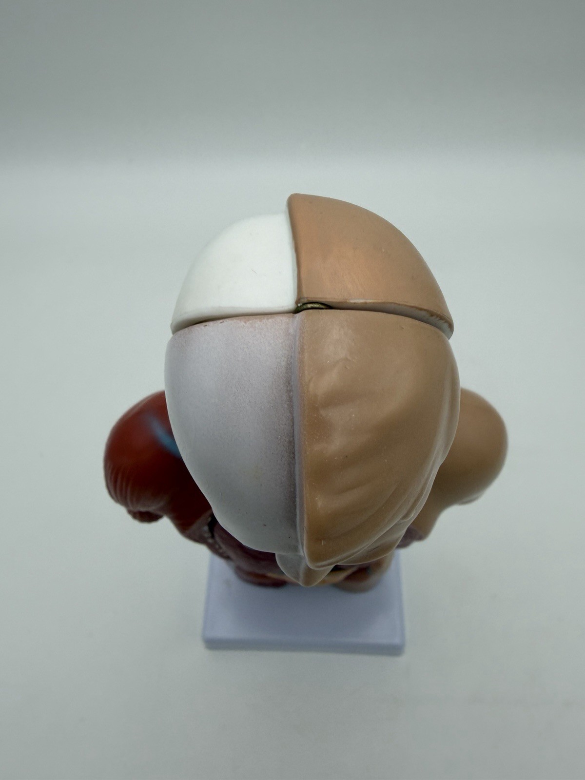 Human Body Model 11 inch 15 Pcs Removable 3D Human Torso NWOB