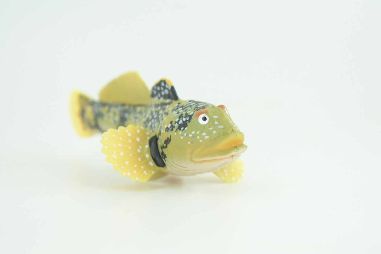 Lingcod Fish Toy, Realistic Hand Painted Rubber Fish Cod, Model 4.5″ CH787 BB185