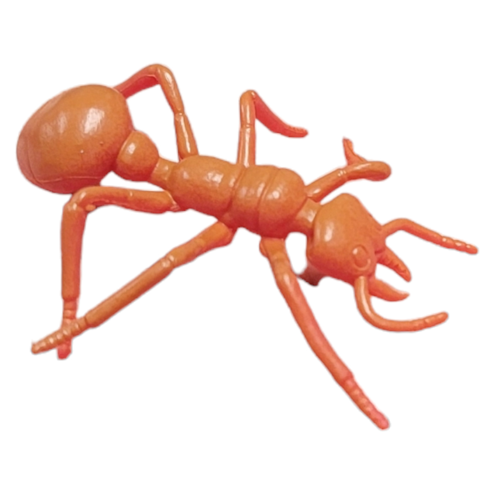 Large 2″-3″ Insect Set (12 Pack) Plastic. 12 Realistic Looking Mini. Lady Bug