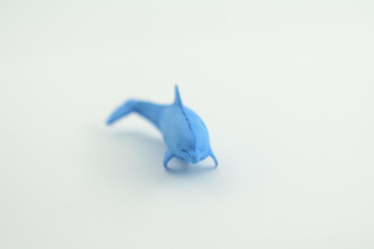 Toy Blue Dolphin Cichlid, Realistic, Replica, Kids, Gift, 2 Inches CWG52 B197