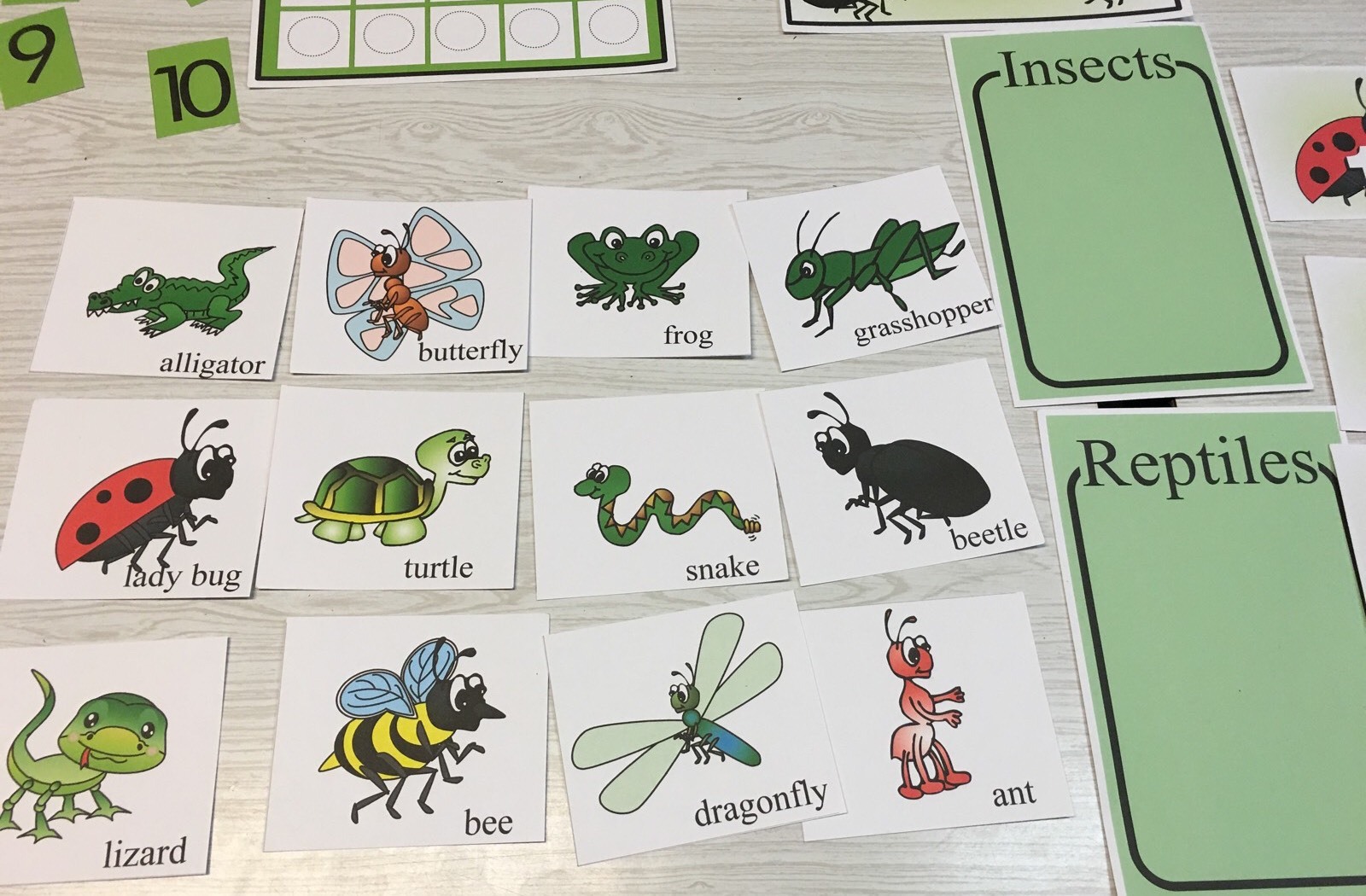 INSECTS-THEMED Learning Activities Package LAMINATED preschool Daycare