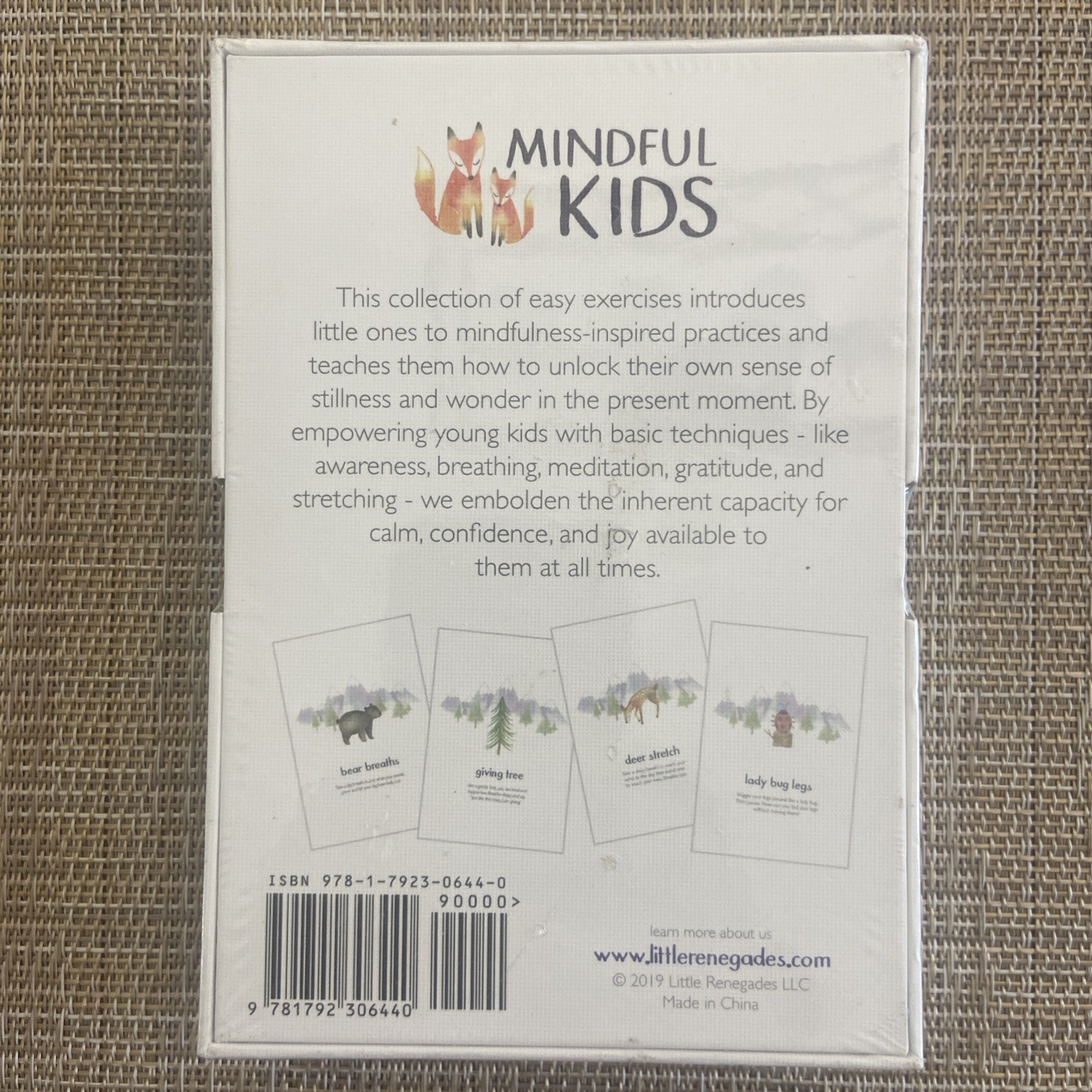 Little Renegades Mindful Kids Cards Ages 3+ Daily Exercises of Mindfulness NEW