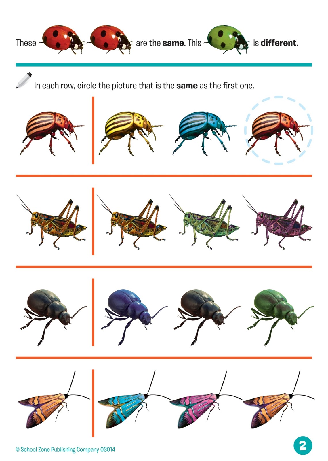 School Zone Preschool Fun! Write & Reuse Workbook: 26 Wipe-Clean Pages,…