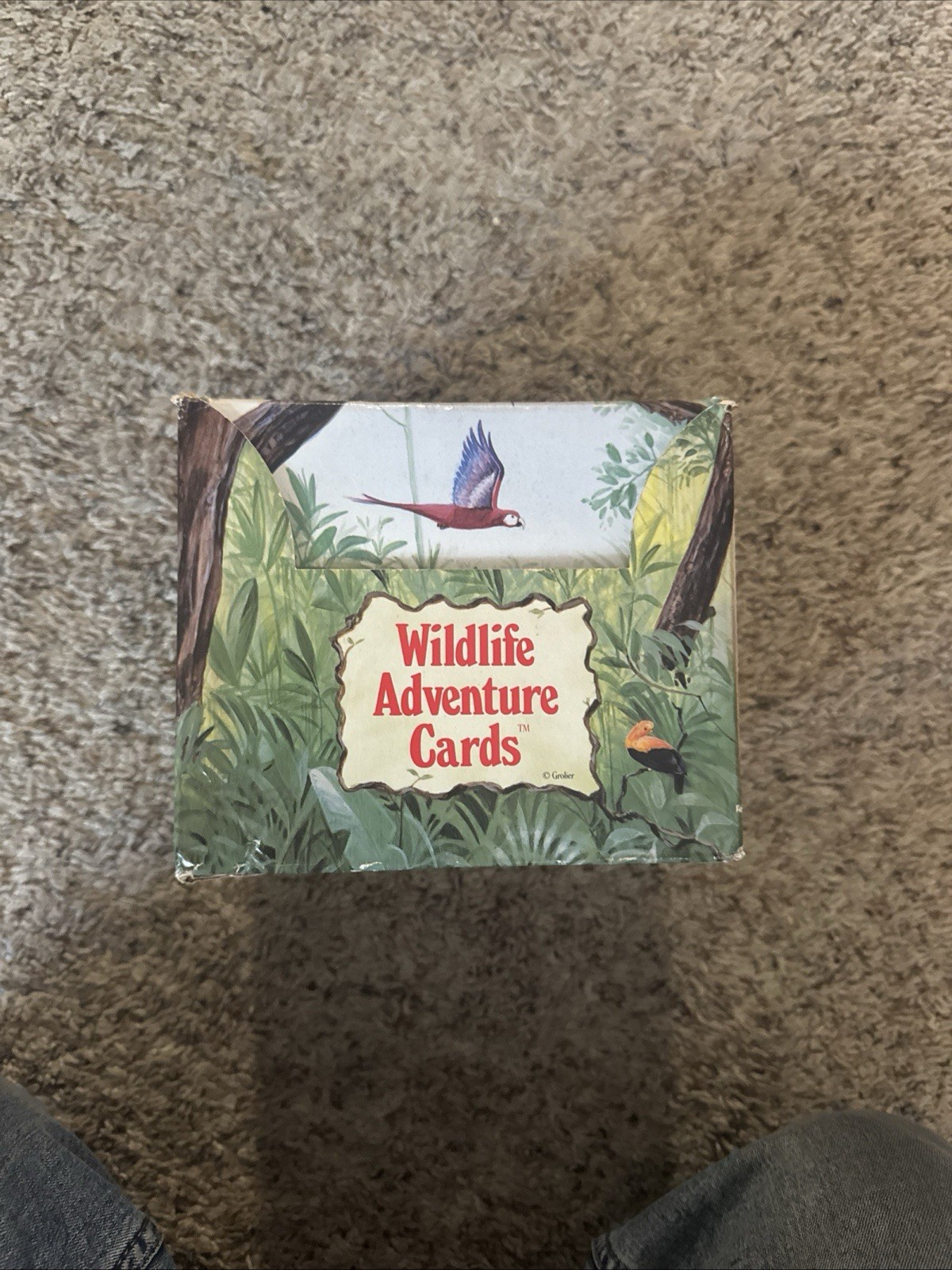 Wildlife Adventure Cards Box Set – 442 Cards – Animals Games Projects