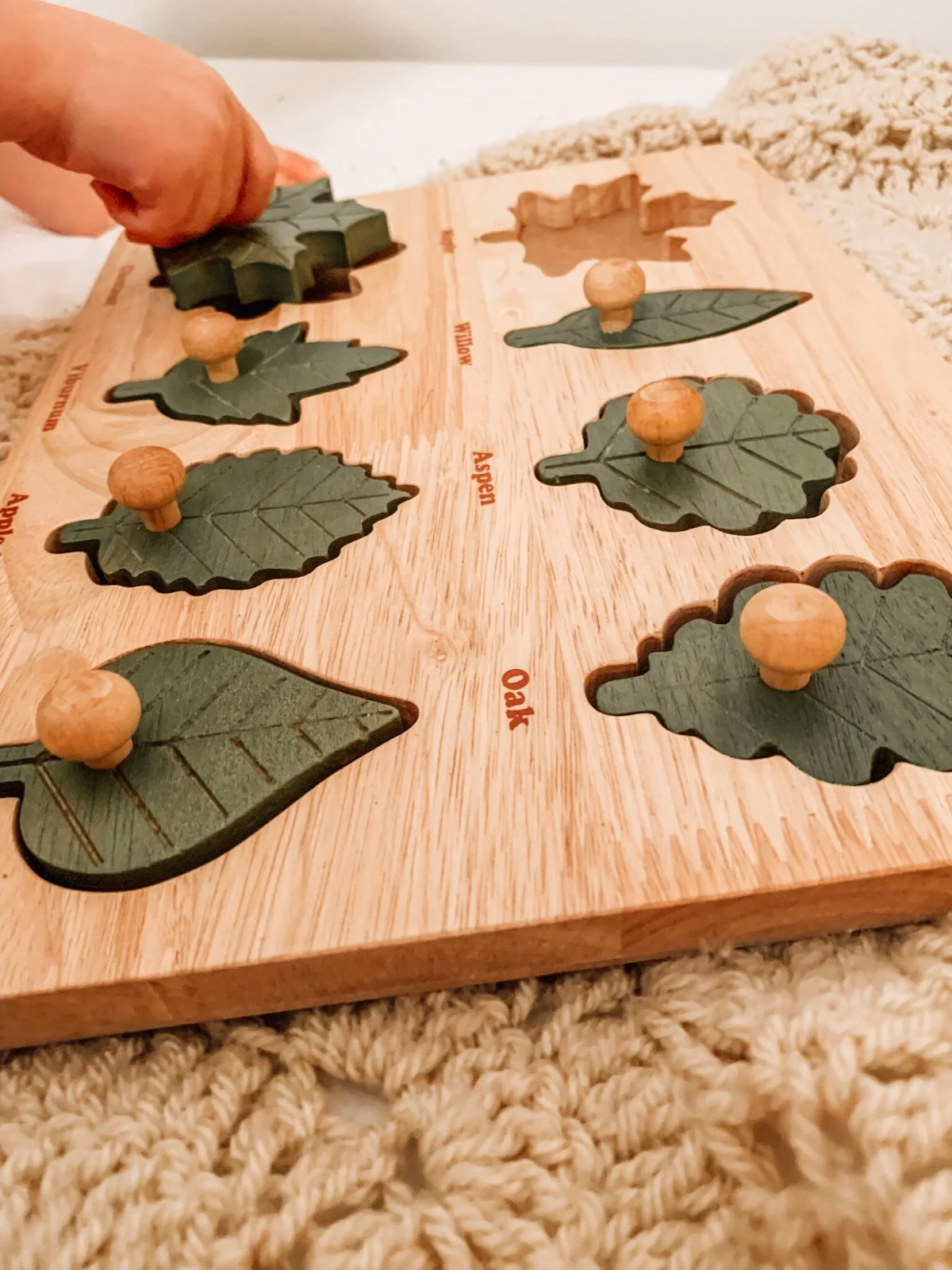 QToys USA Montessori Leaf Puzzle