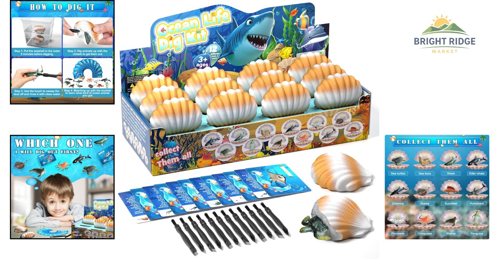 Educational Ocean Animals Dig Kit, Interactive Science Gift for Young Learners