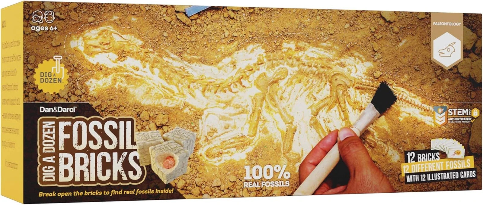 STEM Archaeology Science Project Dig a Dozen Fossil Bricks Sets School FREESHIP