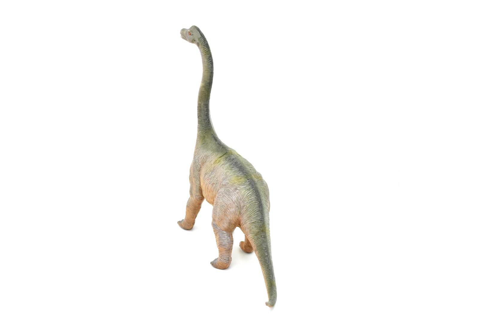 Brachiosaurus Toy, Dinosaur Model, Realistic Plastic Replica, 14″ CWG161 BB37