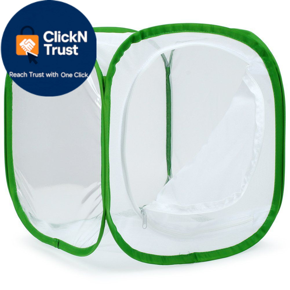 RESTCLOUD Insect and Butterfly Habitat 12 x 12 x 12 inches, White With Green