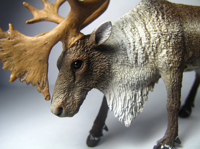 2017 NEW Collecta Animal Toy / Figure Woodland Caribou
