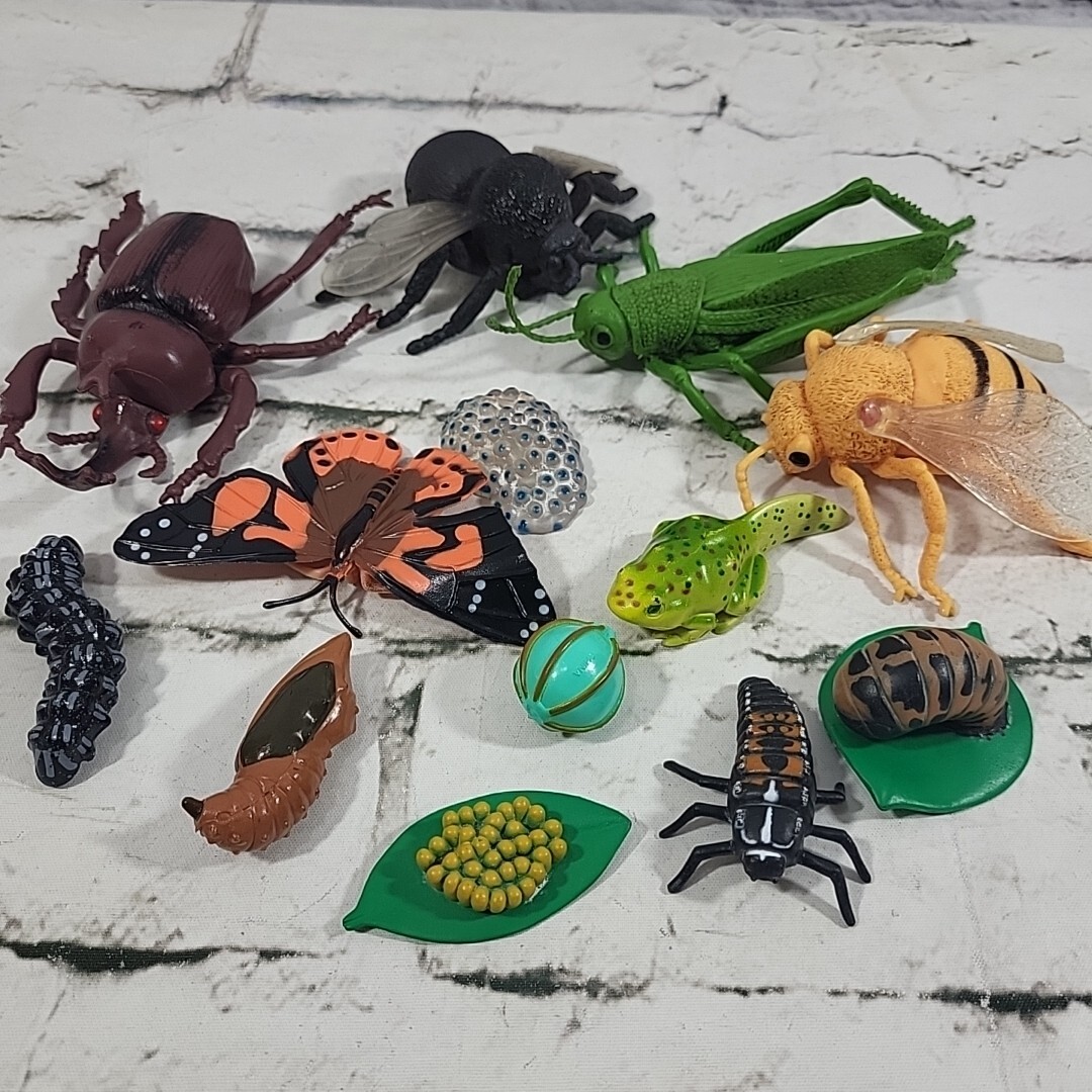 Jumbo Bugs Insects Figures Caterpillar Fly Tadpole Frog Eggs Science Nature Lot