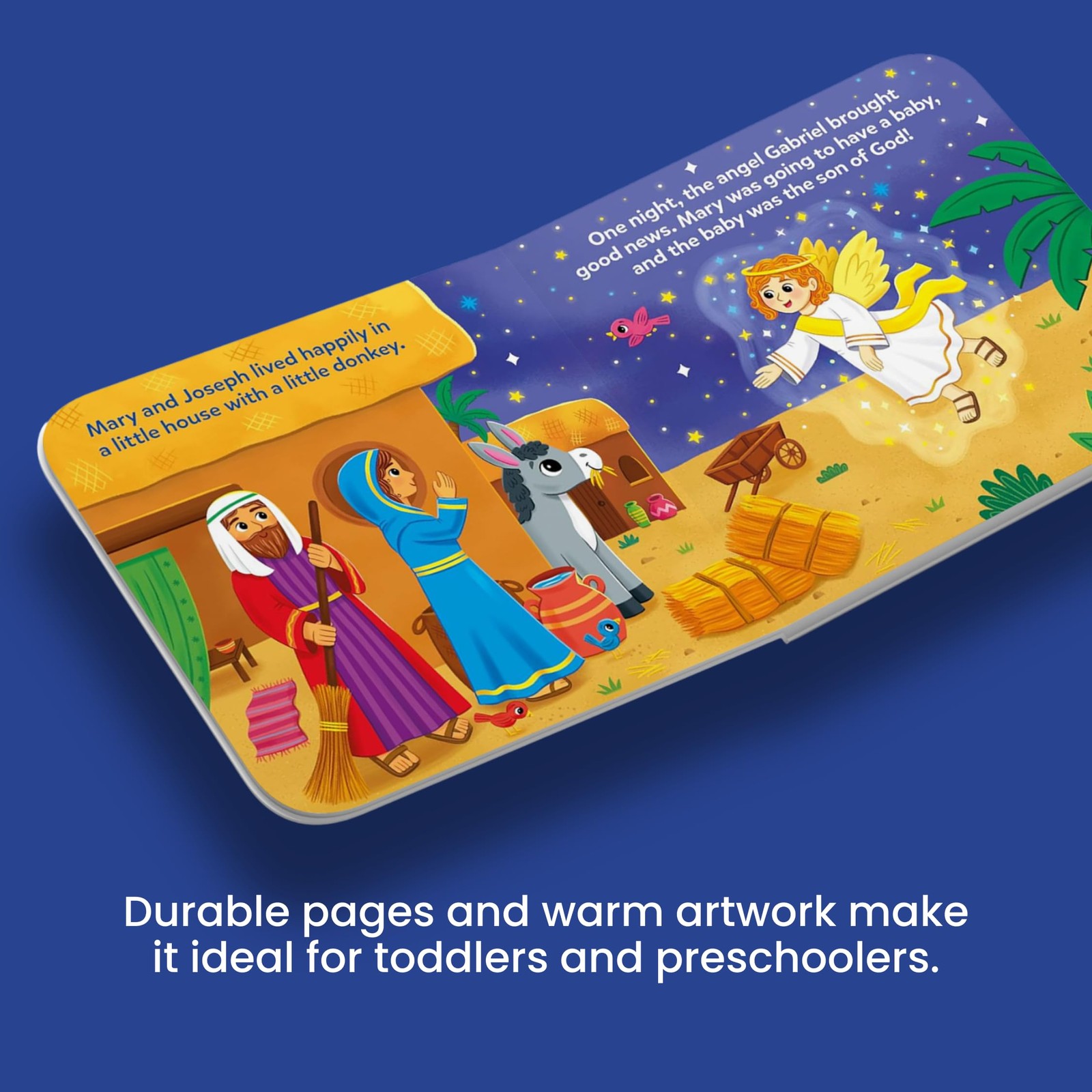 The Nativity Story Illustrative Board Book for Babies and Toddlers: The…