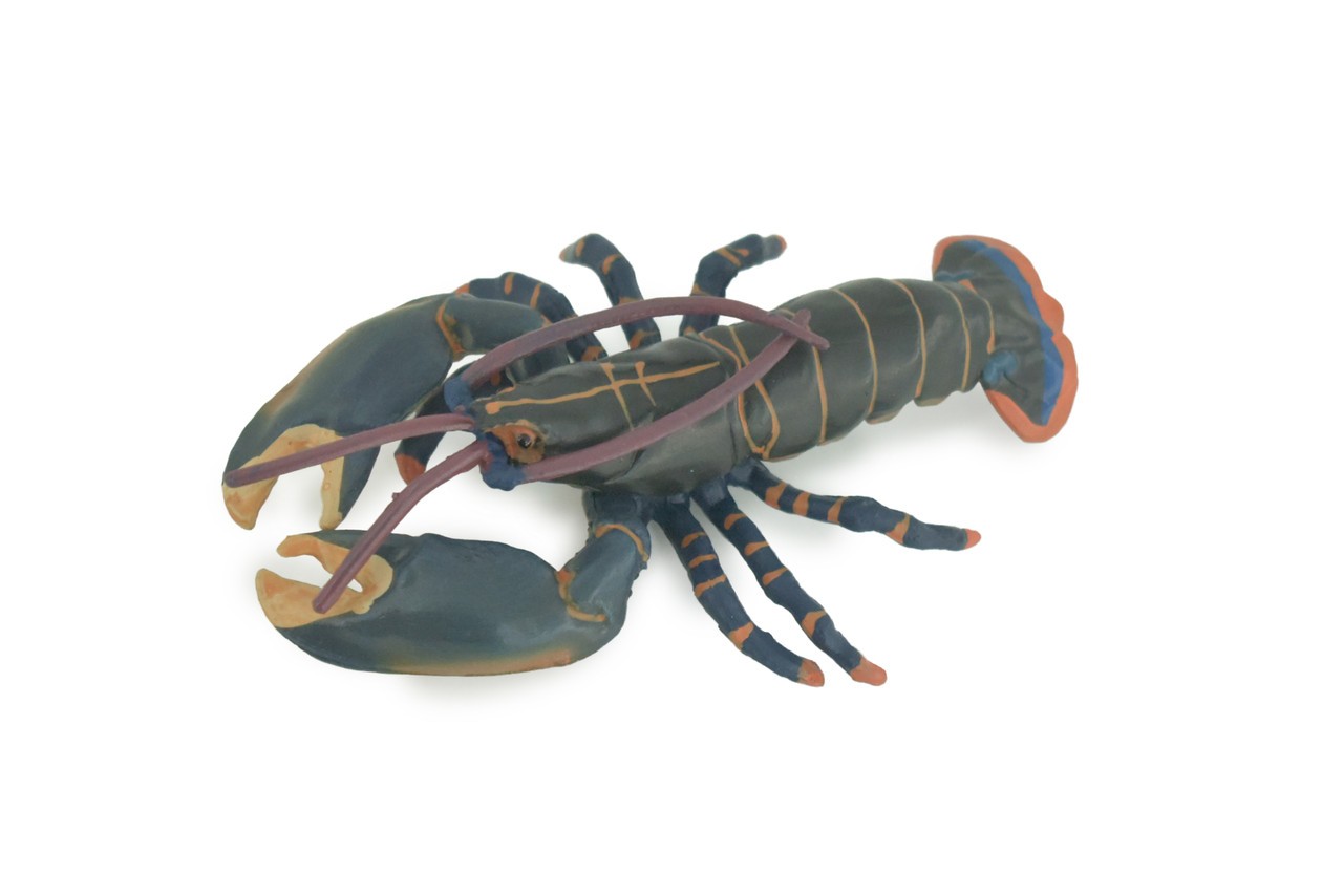 Boston Lobster Toy Museum Quality Rubber Hand Painted Gift, 4 Inches CH1002BB218