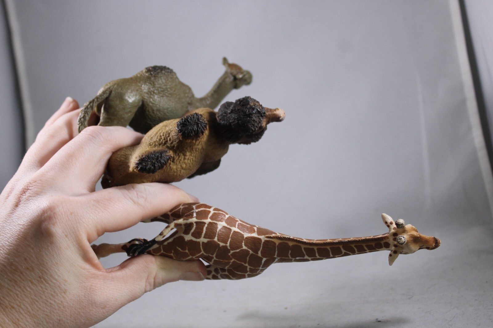 DROMEDARY Bactrain CAMEL Animal Figurine Safari Ltd. toy Figure Giraffe