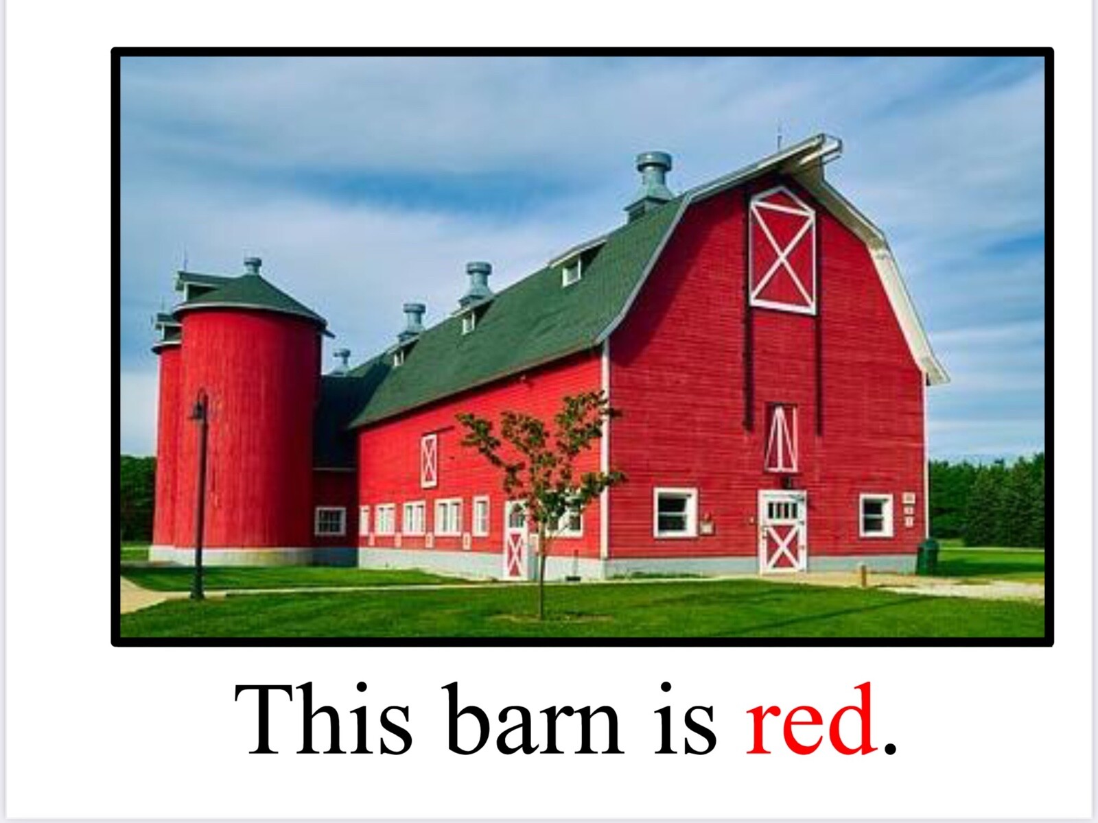 RED | The Strawberries are Red | LEARNING COLORS | Spiral Bound Picture Book