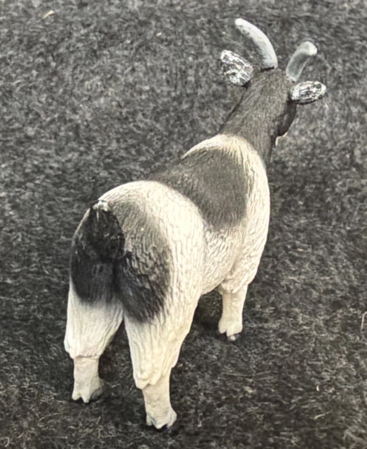 Mojo Billy Goat Figure Blk/ Wht Realistic Wildlife Farm Animal Figurine 4″ 2010