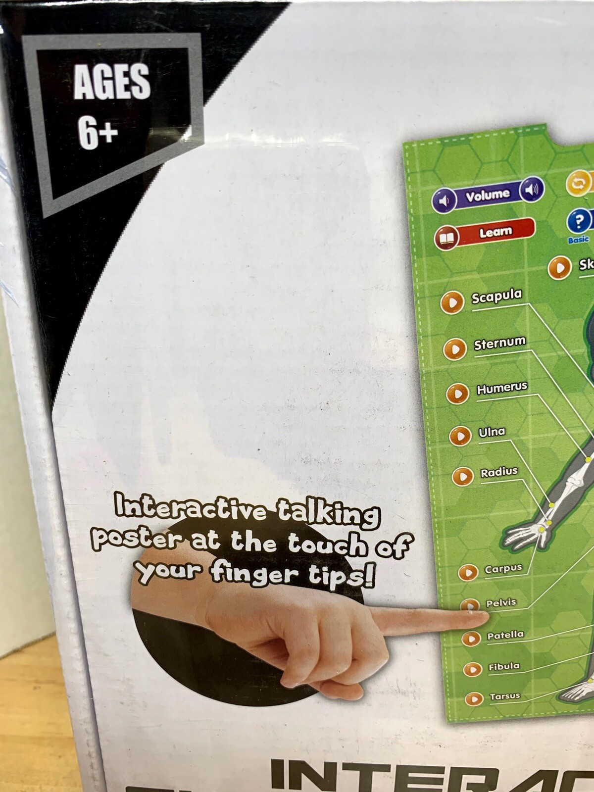 BEST LEARNING i-Poster My Body
