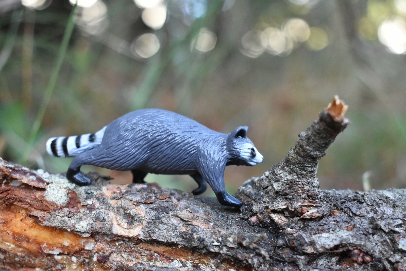 Raccoon, Very Nice Plastic Animal, Toy, Kids, Realistic Figure, 2.5″ F206