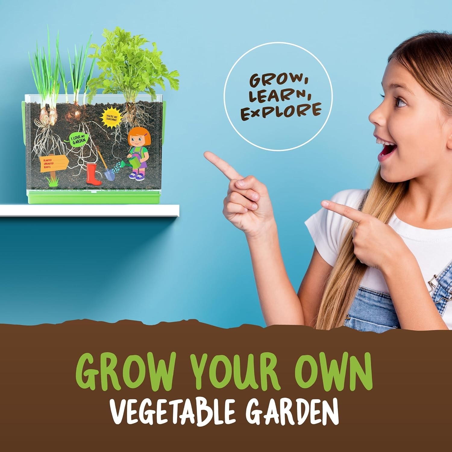 Root Viewer Kit for Kids – Grow Plant Science Educational Toy
