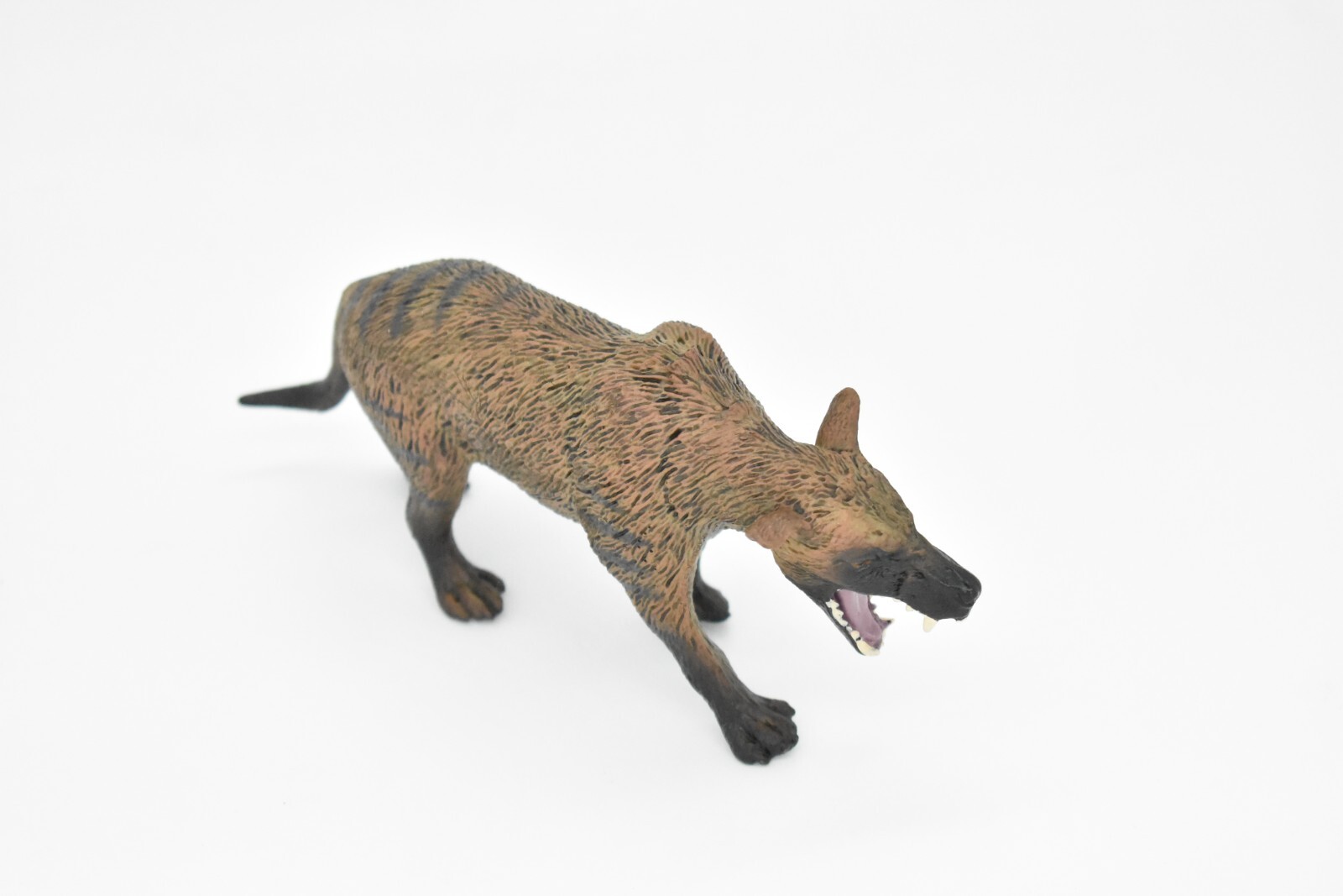 Tasmanian Tiger, Museum Quality Rubber Reproduction, Hand Painted, Figurine 7″