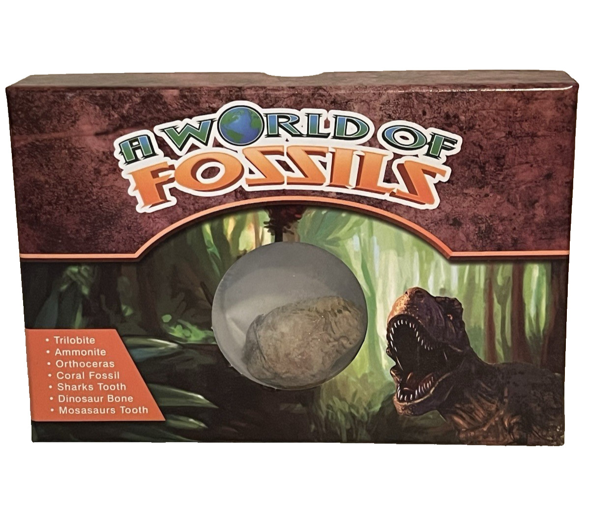 A World Of Fossils kit Dinosaur bone shark tooth ammonite & more