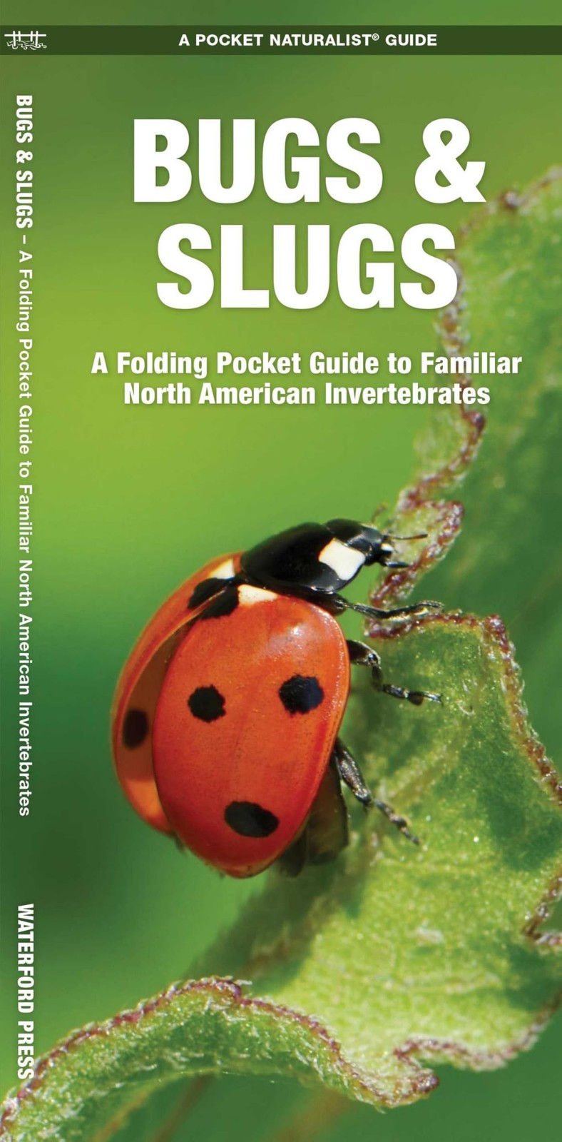 Bugs & Slugs, 2nd Ed: A Folding Pocket Guide to Familiar North American…