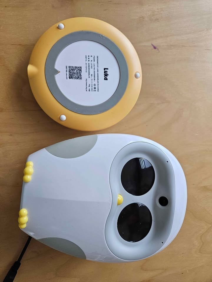 Luka Hero Reading Robot