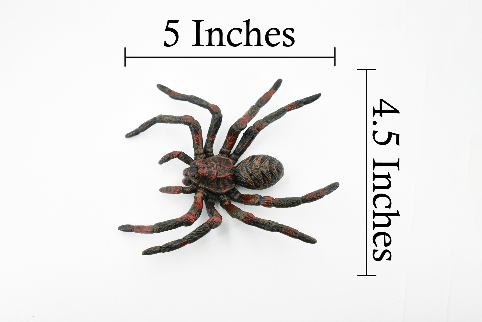 Wolf Spider, Hand Painted, Realistic Figurine, Model, Gift 5″ CH186 BB115