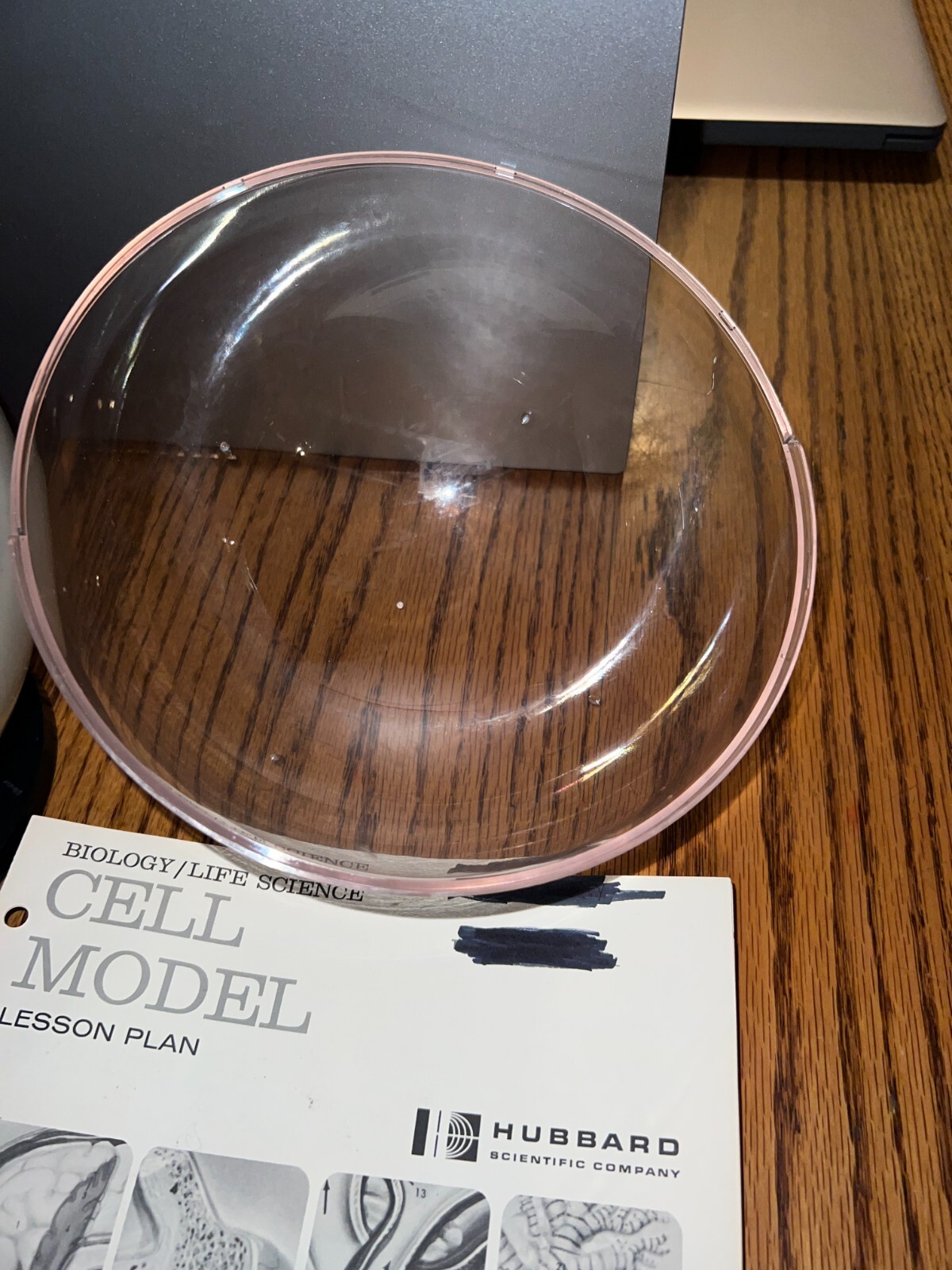 Hubbard Scientific 3-D Biological Cell Model Globe 1968