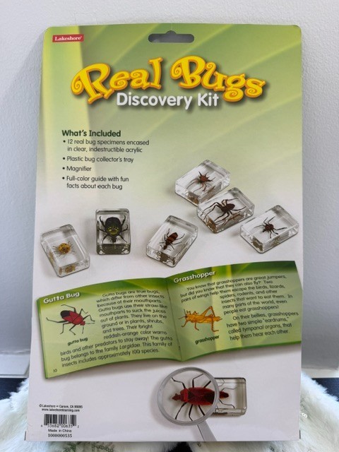 LakeshoreReal Bugs Discovery Kit 12 Real Insects in Acrylic STEM Educational Toy