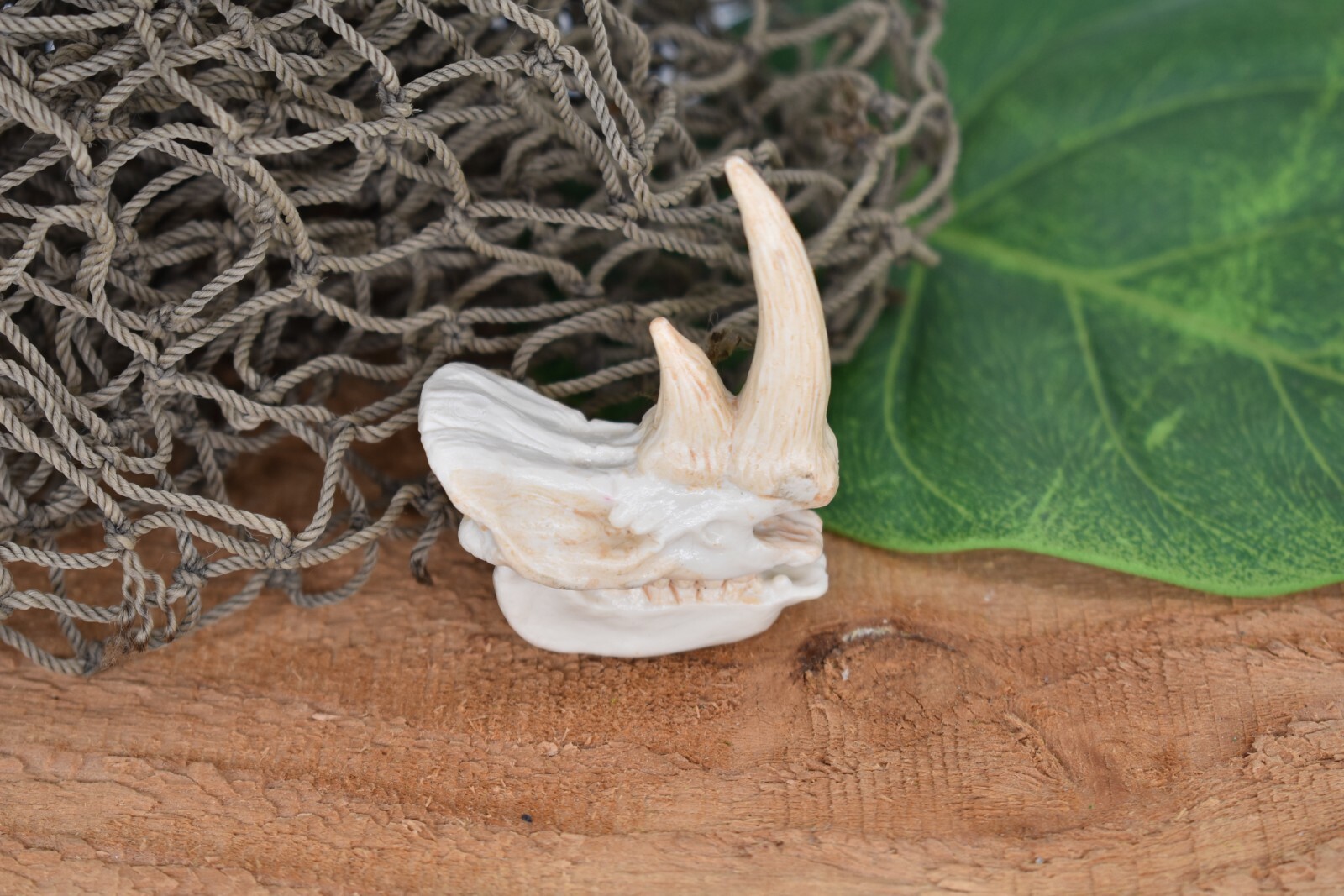 Rhino Rhinoceros Skull Plastic Toy Animal Kids Gift Realistic Figure 2″ F4119