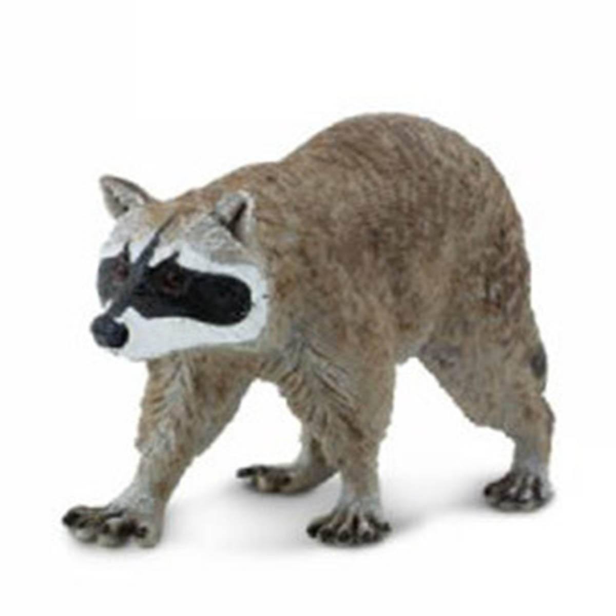 Raccoon North American Wildlife Figure Safari Ltd NEW IN STOCK