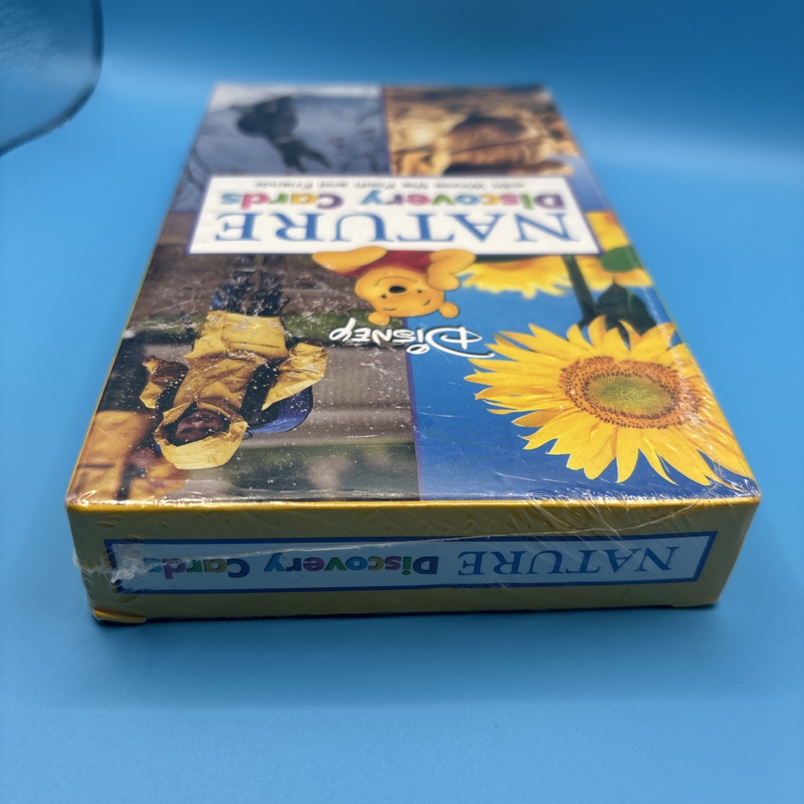 Disney Winnie the Pooh Nature Discovery Cards Flash Cards Sealed Disney Press