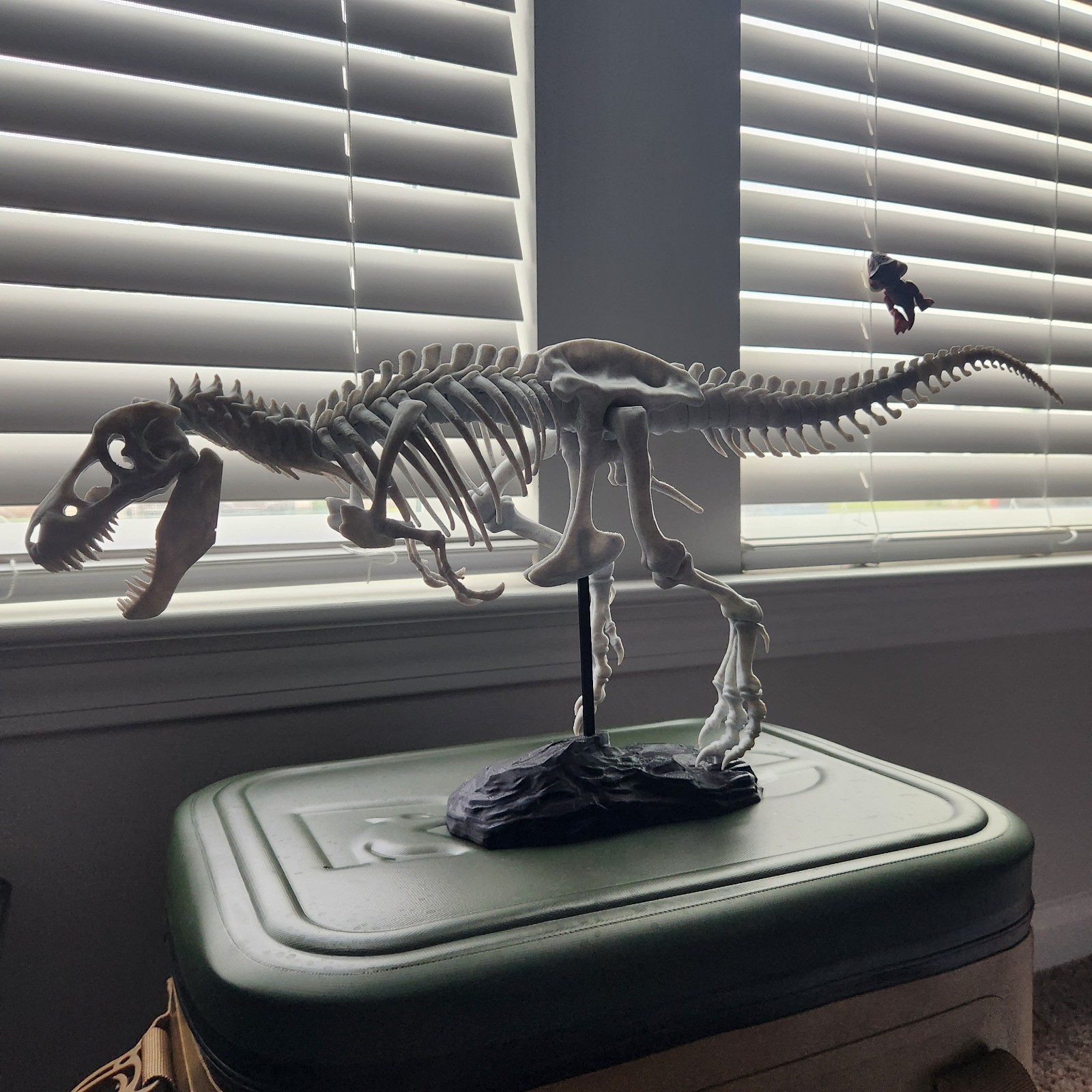 Trex Full Skeleton “Bone white” Assembly Kit