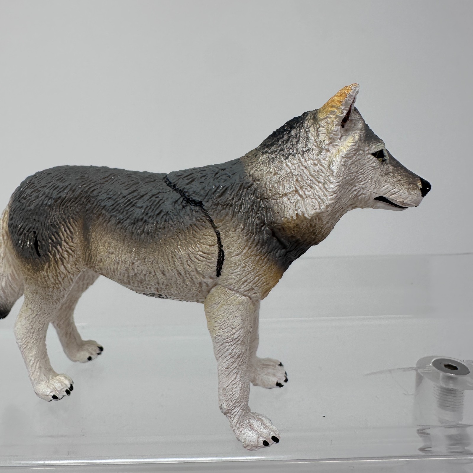 Safari Ltd Gray Wolf Figure Wild Dog Wildlife Zoo Jungle Animal Figurine 4″ 2020