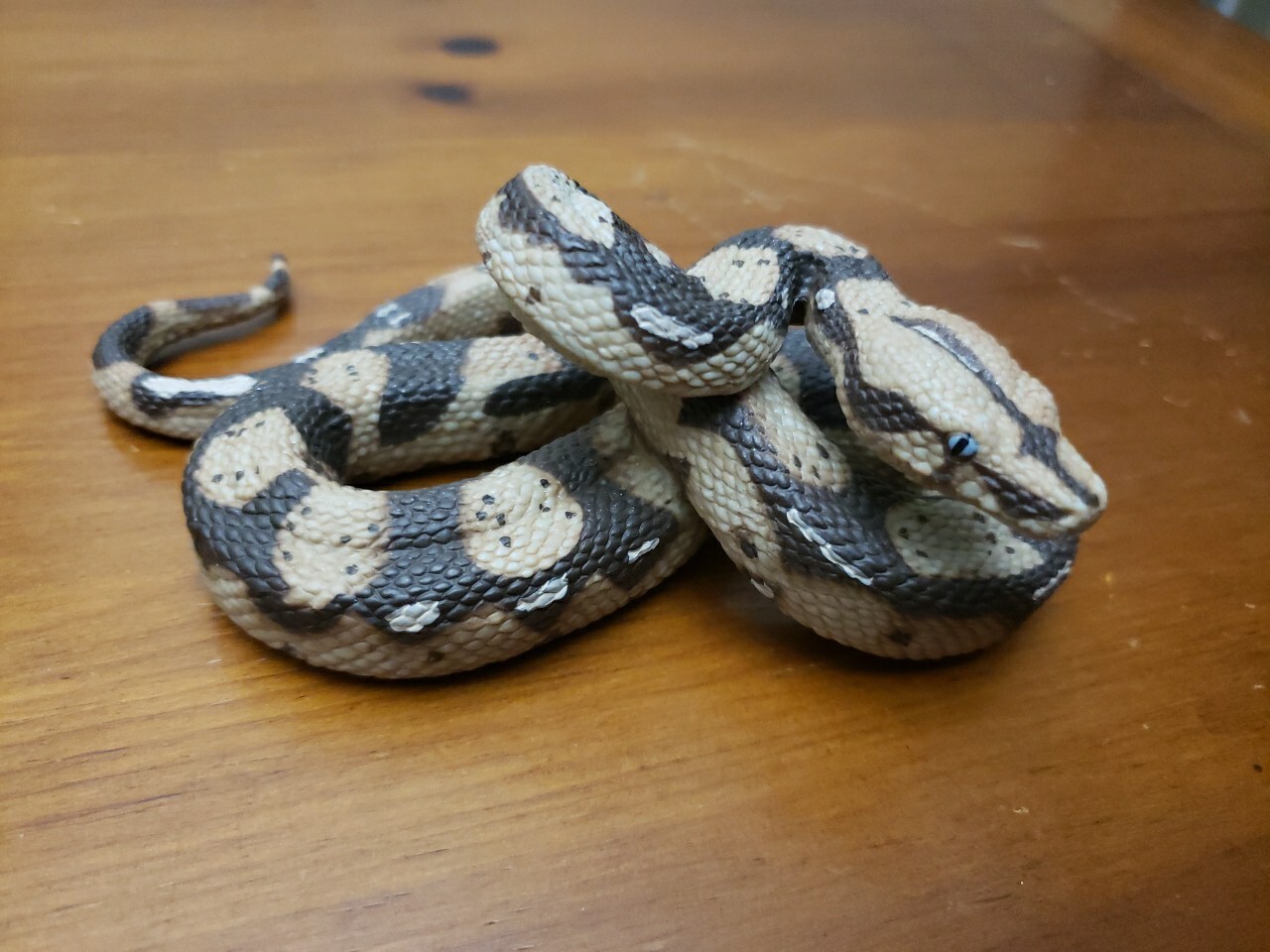 Boa Constrictor Python Realistic Toy Snake Education Prank Safari Ltd Animal Fig
