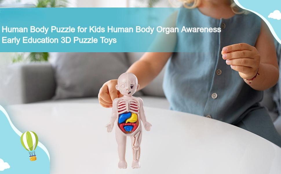 Human Body Puzzle Body Parts Organs 3D Puzzle Toys with 14 Pieces Model for Kids