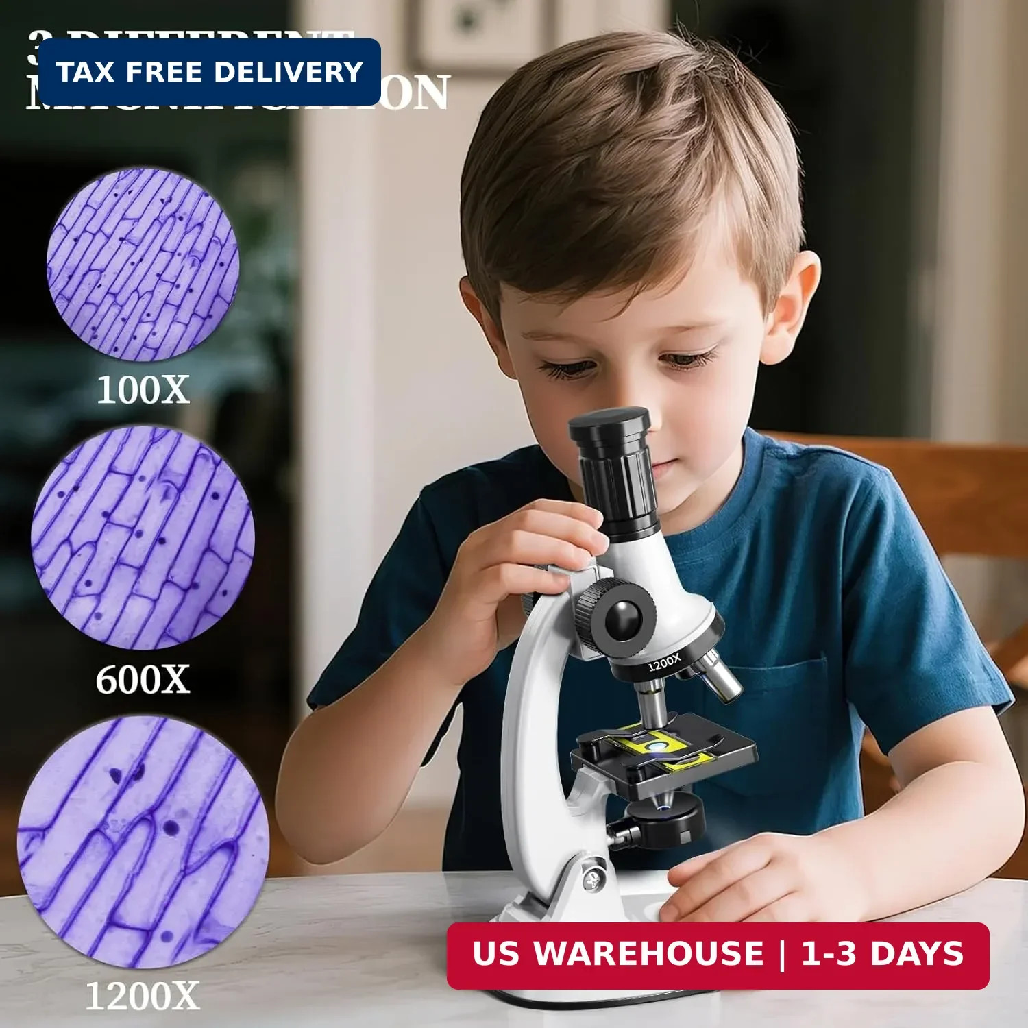 65 Pieces Microscope Kit for Kids Ages 5-7 8-13, 100X-1200X Magnification with 7