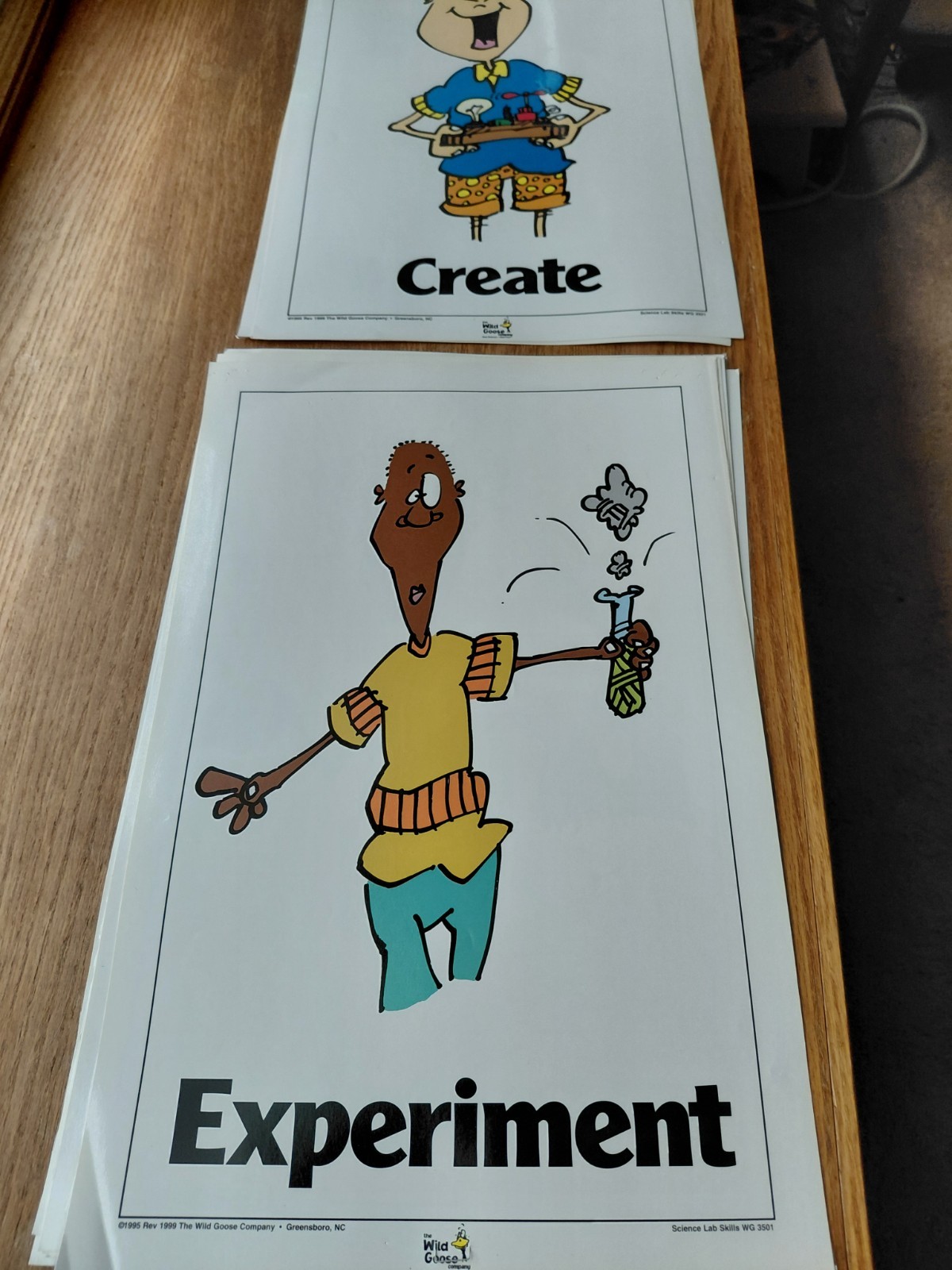 1995 Science Classroom 10 total Poster Set Used by Wild Goose Company 11 x 17