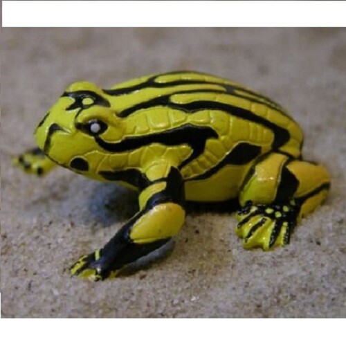 Coroboree Frog – Science and Nature Australia (75361): vinyl toy animal figure